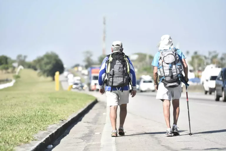 romaria à pé para Aparecida